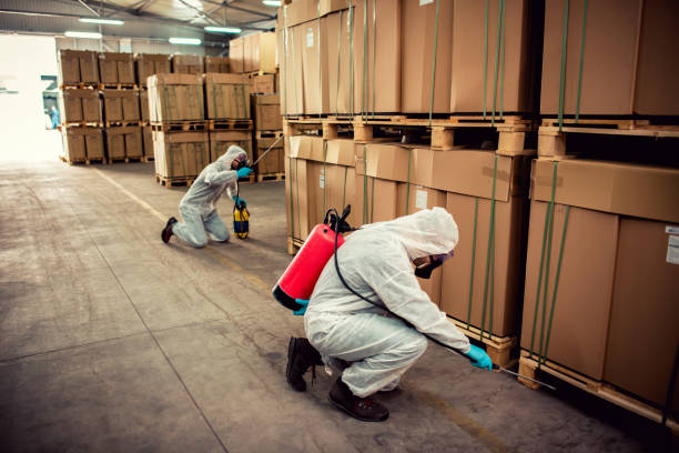 Best Wasp Removal Services  in Lincoln Center, KS