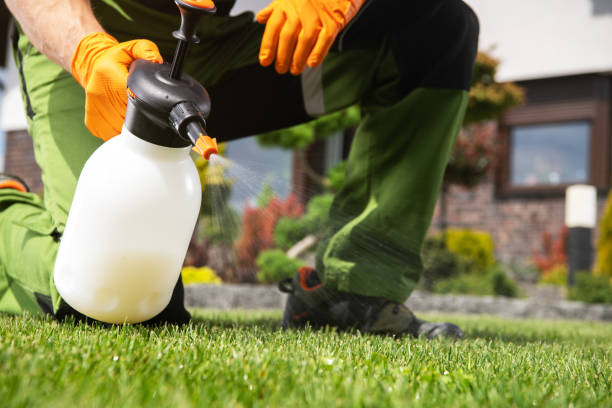 Best Mosquito Control Services  in Lincoln Center, KS