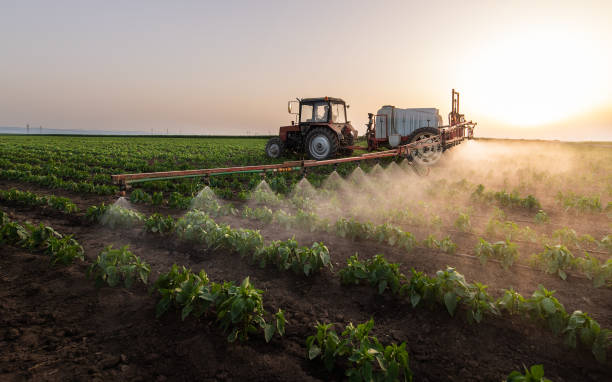Best Best Pest Control Companies  in Lincoln Center, KS