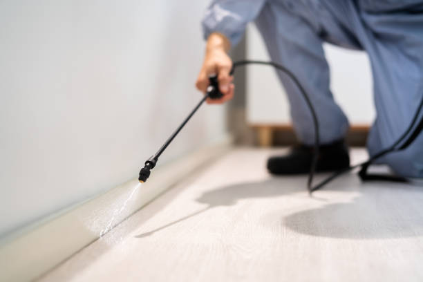 Best Exterminator Services  in Lincoln Center, KS