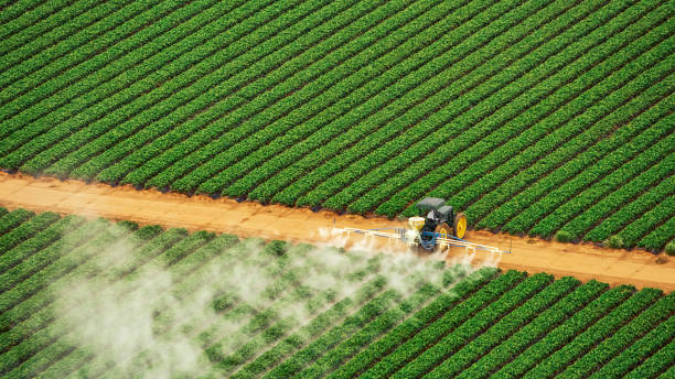 Best Mosquito Control Services  in Lincoln Center, KS