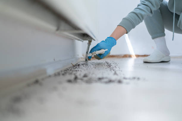 Best Rat Extermination Near Me  in Lincoln Center, KS